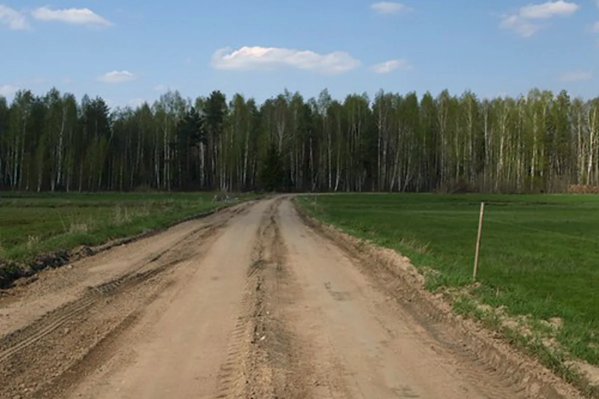 Wooded access route with a natural ground surface